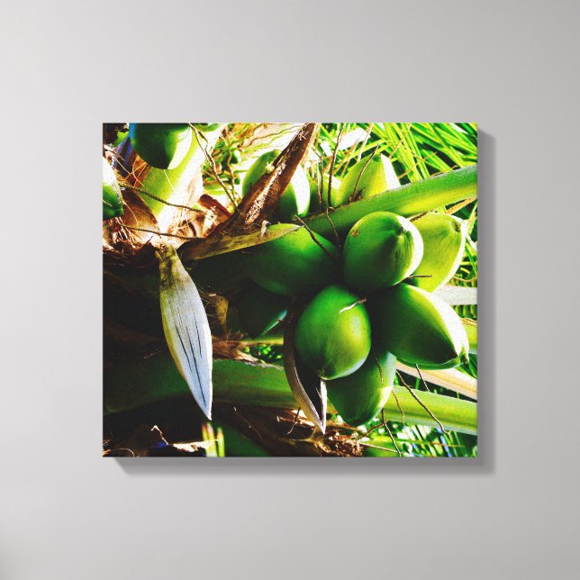 Coconuts ~ Canvas Art ~ Trinidad (Framsida)