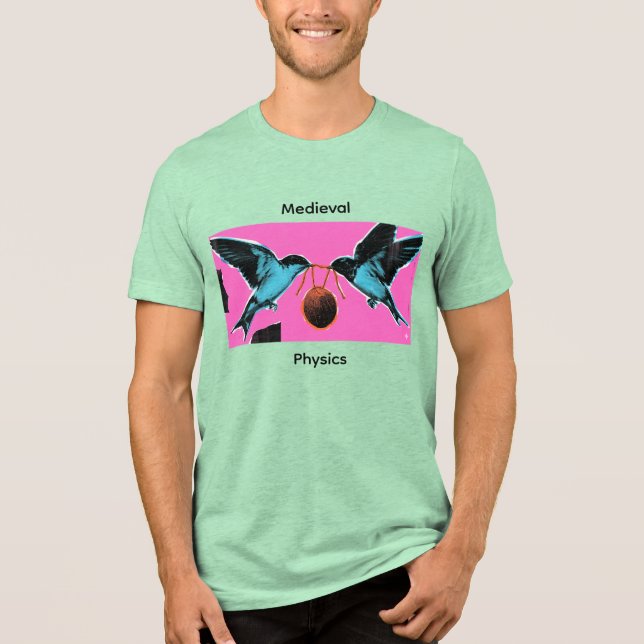 Coconuts Don't Migrate Medieval Physics Tee (Framsida)
