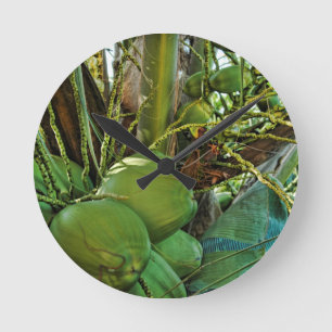 Coconuts Island Handflatan Träd Karibiska USVI Rund Klocka