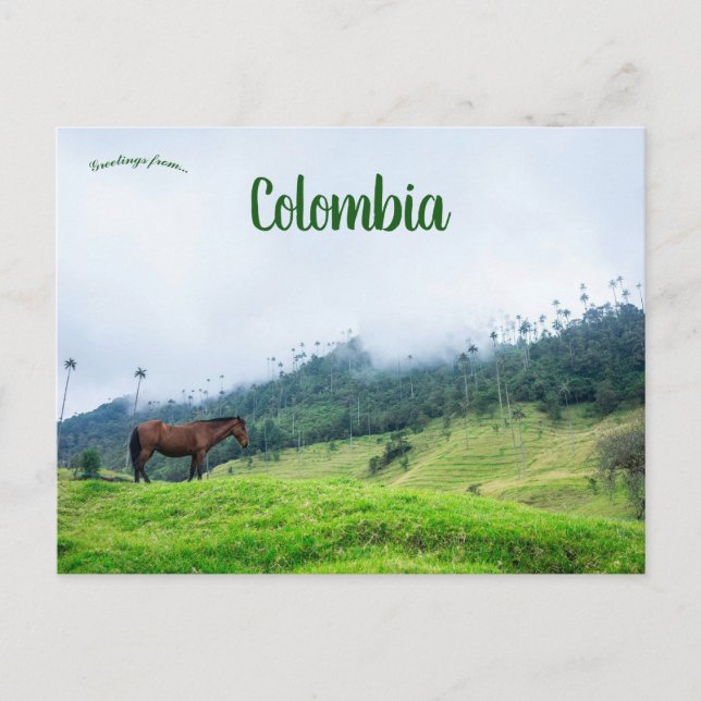 Cocora Valley i Colombia Vykort (Framsida)