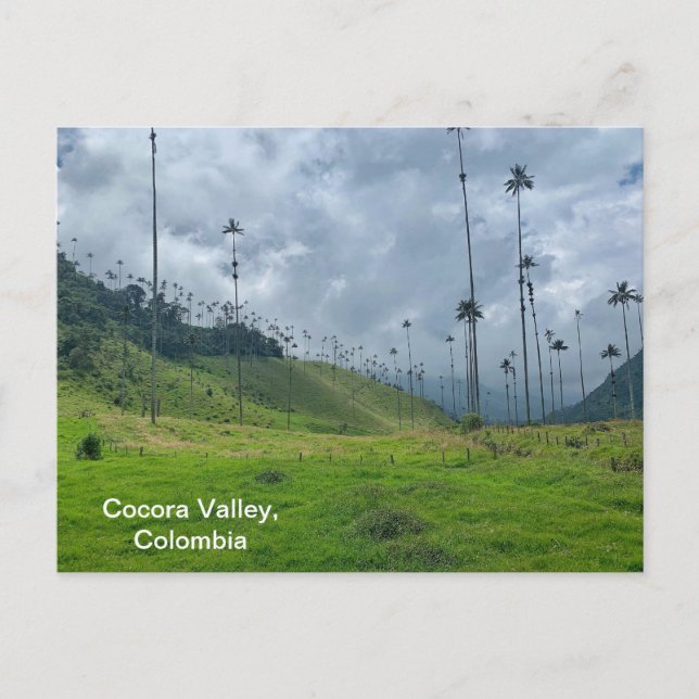 Cocora Valley, vykort för Colombia (Framsida)