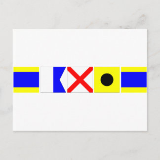 Code Flagga David Vykort