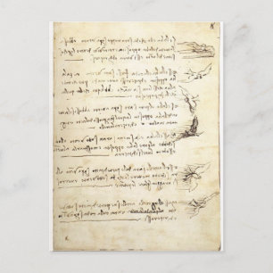 Codex om Leonardo da Vincis flygande av fåglar Vykort