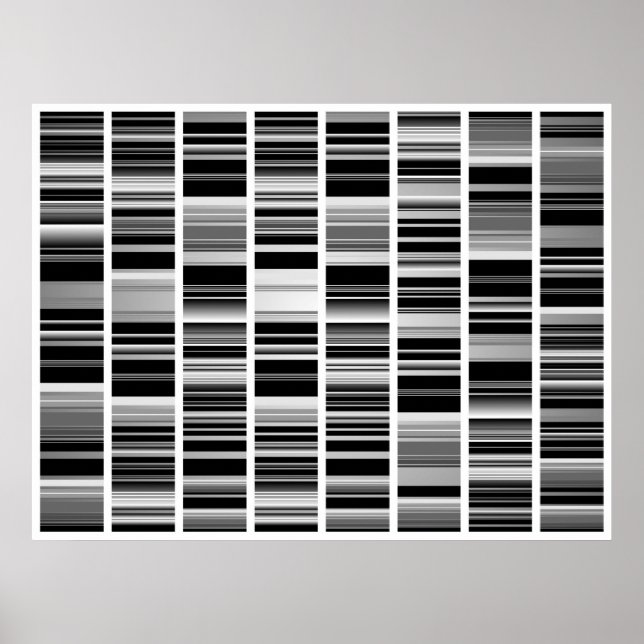 Codex Poster (Framsidan)