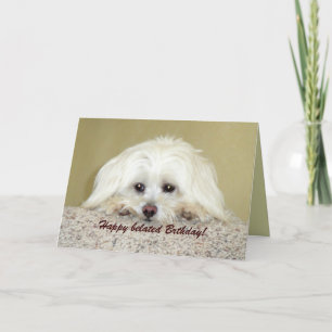 "Cody" Hälsningskort Lycklig senat födelsedag! Kort