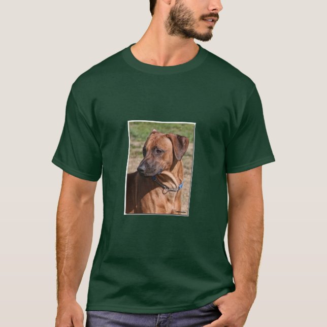 Cody Tee Shirt (Framsida)