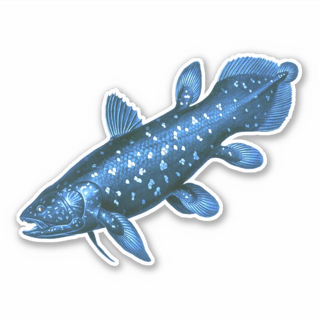Coelacanth Klistermärken (Framsida)