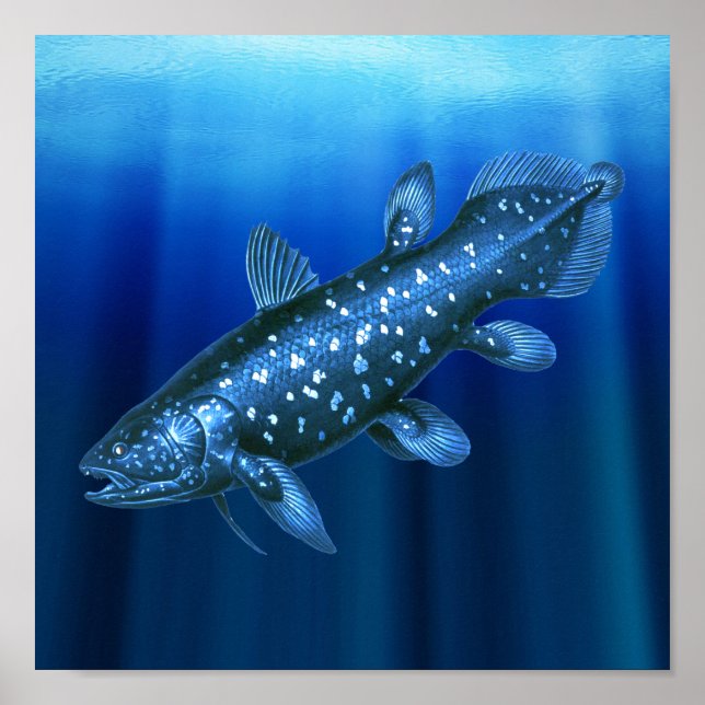 Coelacanth Poster (Framsidan)