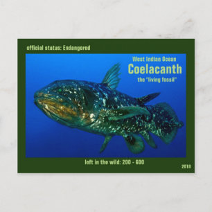 Coelaconth "bo den fossil- fisken" utsättas för vykort
