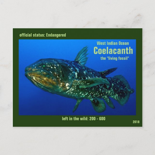 Coelaconth "bo den fossil- fisken" utsättas för vykort (Framsida)