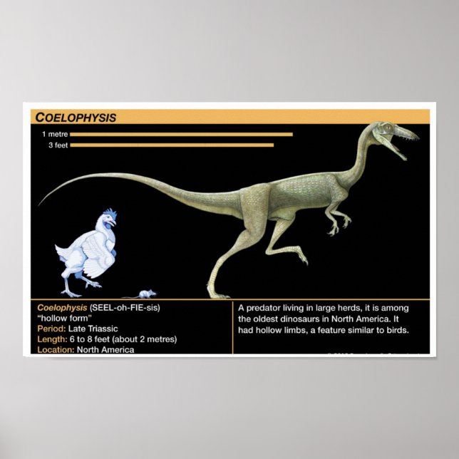 Coelophysis - Biologi Juraperioden Poster (Framsidan)