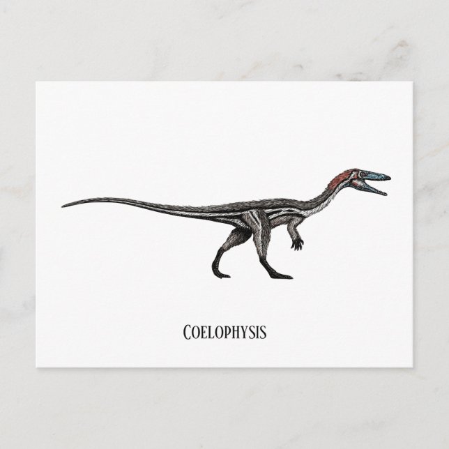 Coelophysis dinosaur vykort (Framsida)
