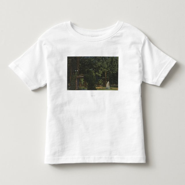 Coeur d'Alene, legitimation - beskåda av stad T-shirt (Framsida)