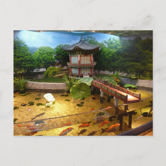 COEX Aquarium Vykort (Framsida)