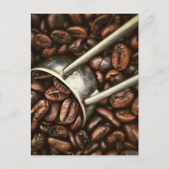 Coffee Bean Vykort (Framsida)