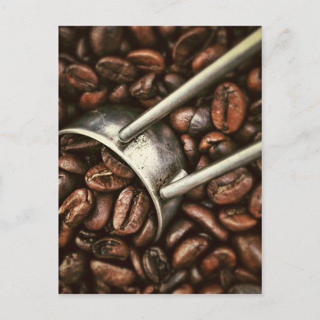 Coffee Bean Vykort (Framsida)