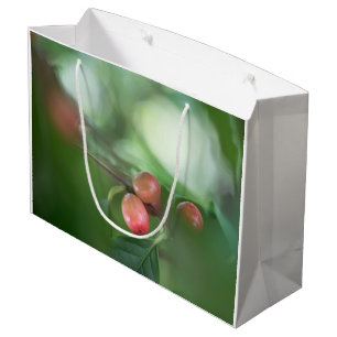 Coffee Cherries Card