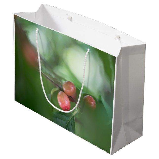 Coffee Cherries Card (Baksidan Vinklad)