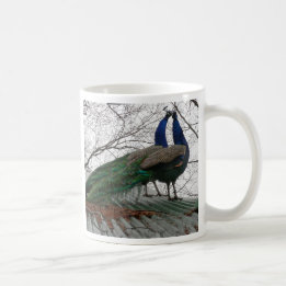 COFFEE MUGG MED PEACOCK-BILD