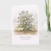 Cogitata infinita - Den Oändliga Tänkaren Botanisk