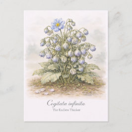 Cogitata infinita - The Endless Thinker Botanical Vykort