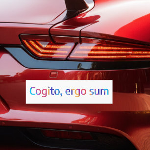Cogito Ergo Sum Filosofi Citat Färgglatt Bildekal