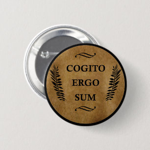 Cogito ergo sum knapp