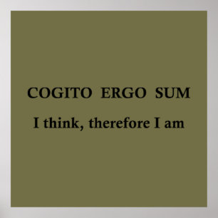 cogito ergo sum, latinfras poster