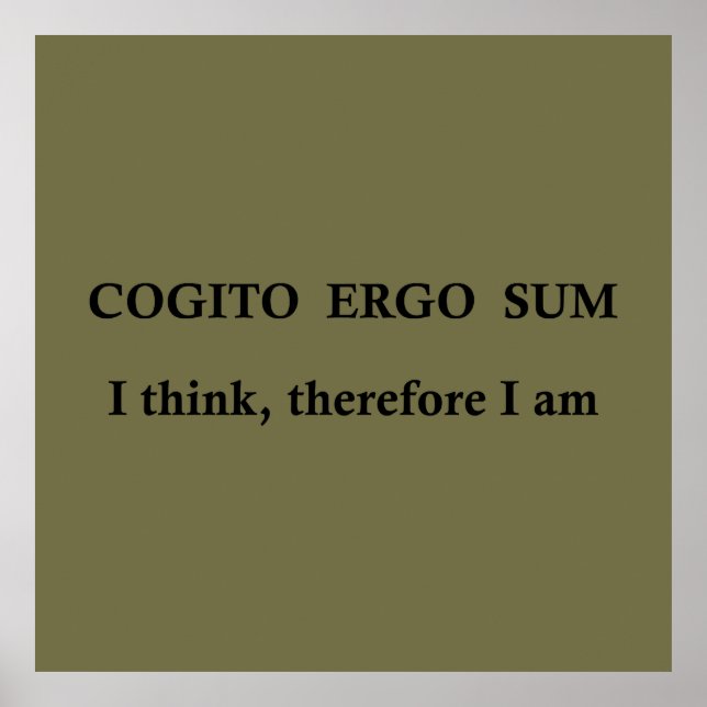 cogito ergo sum, latinfras poster (Framsidan)