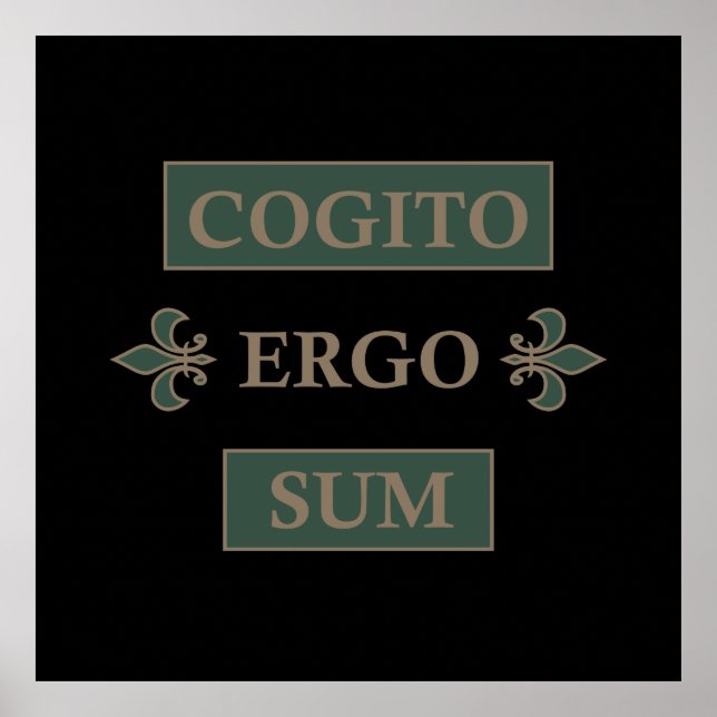 cogito ergo sum, latinfras poster (Framsidan)