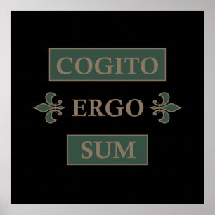 cogito ergo sum, latinsk fras poster