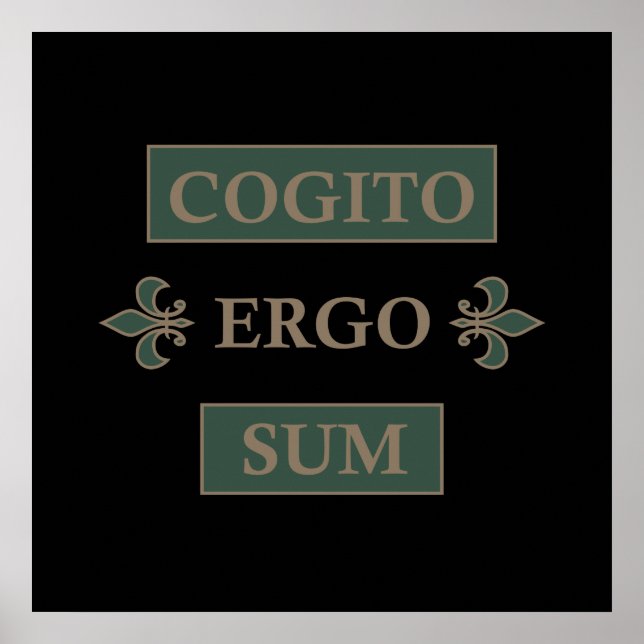 cogito ergo sum, latinsk fras poster (Framsidan)