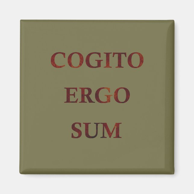 Cogito ergo sum magnet (Framsidan)