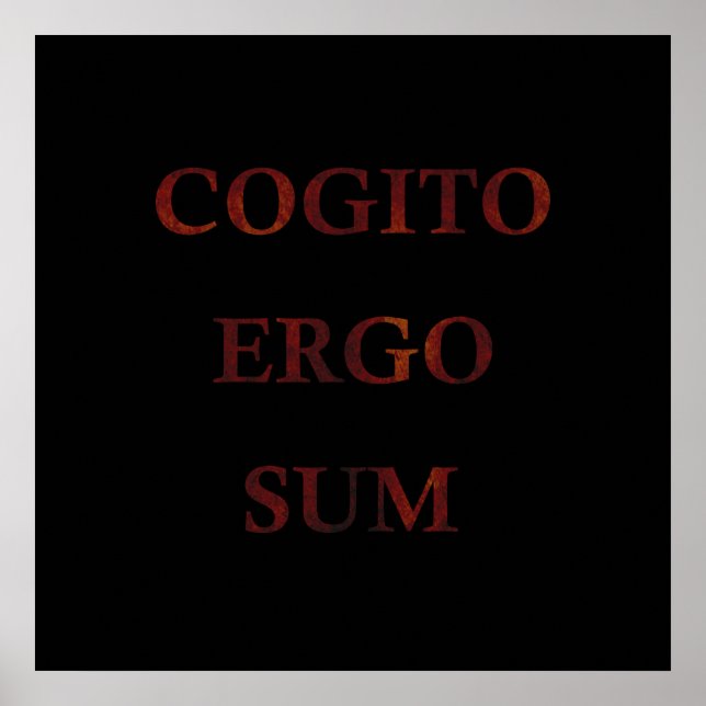 Cogito ergo sum poster (Framsidan)