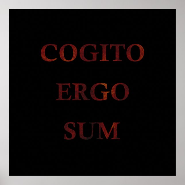 Cogito ergo sum poster (Framsidan)