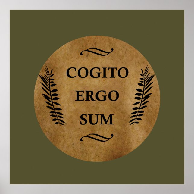 Cogito ergo sum poster (Framsidan)