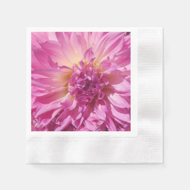 Cogniet Pappersservett (Framsidan)