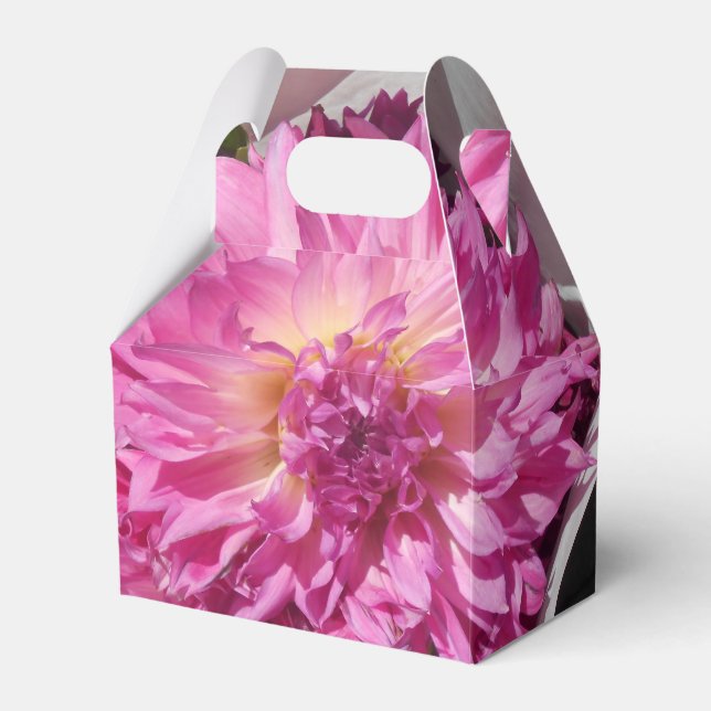 Cogniet Presentaskar (Framsidan Sidan)