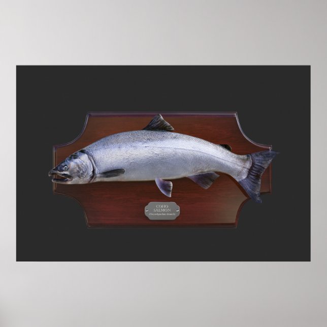 Coho Salmon Trophy Visning Plaque Poster (Framsidan)