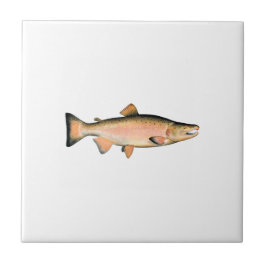 Coho - silverlax (leken arrangerar gradvis), kakelplatta