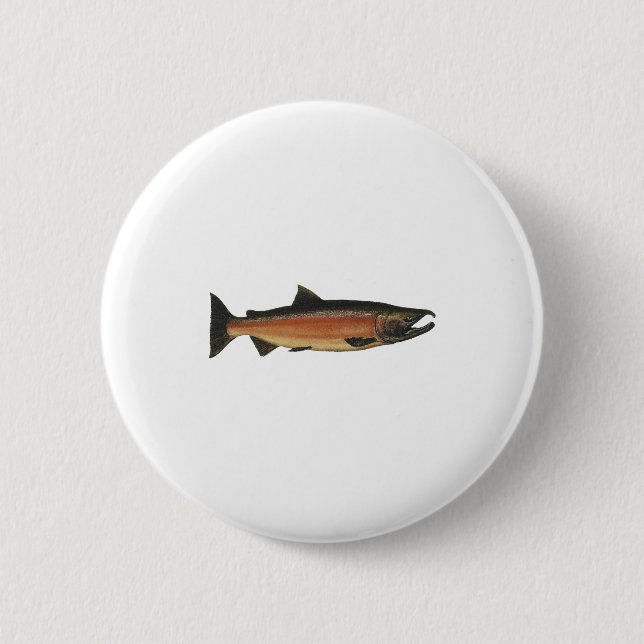 Coho - silverlax (leken arrangerar gradvis), knapp (Framsida)