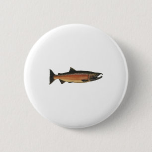 Coho - silverlax (leken arrangerar gradvis), knapp