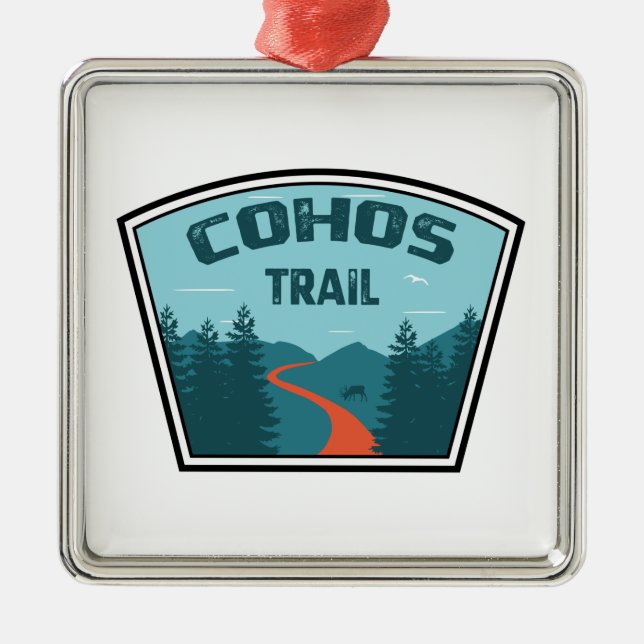 Cohos Trail New Hampshire Julgransprydnad Metall (Framsidan)