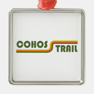 Cohos Trail New Hampshire Julgransprydnad Metall