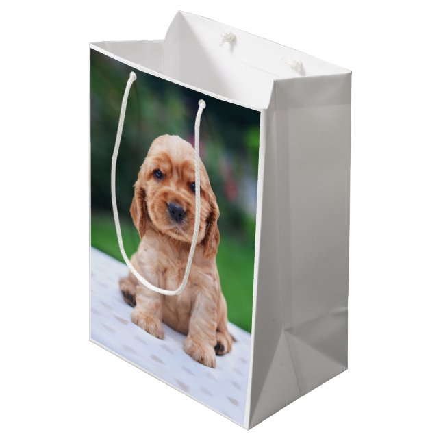 Coker Spain Puppy (Framsidan Vinklad)