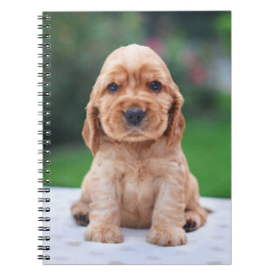 Coker Spanielvalp Anteckningsbok