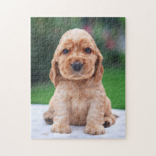 Coker Spanielvalp Pussel