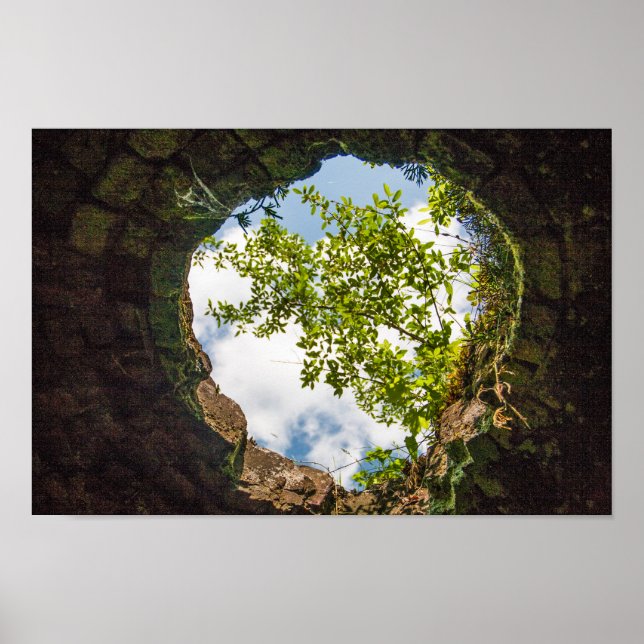 Coketown Coke Oven Ruins, Väster Virginia Poster (Framsidan)