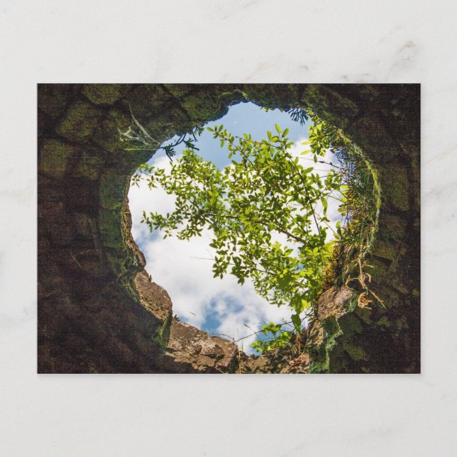 Coketown Coke Oven Ruins, Väster Virginia Vykort (Framsida)