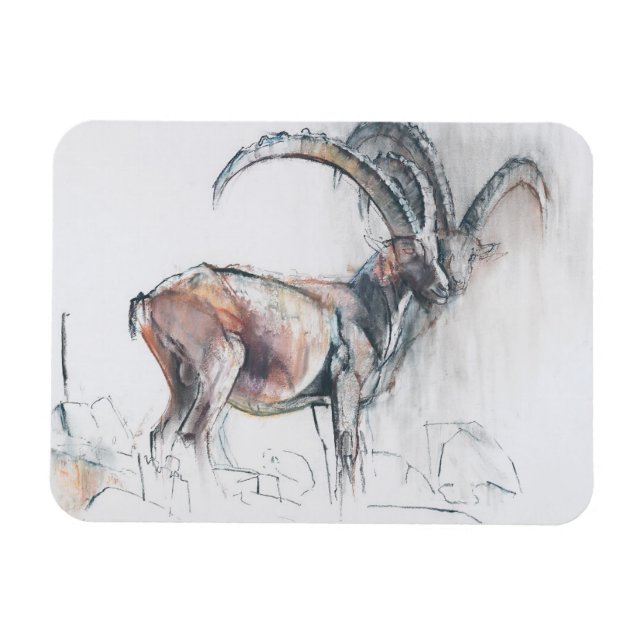 Col di Vermianaz Magnet (Horisontell)